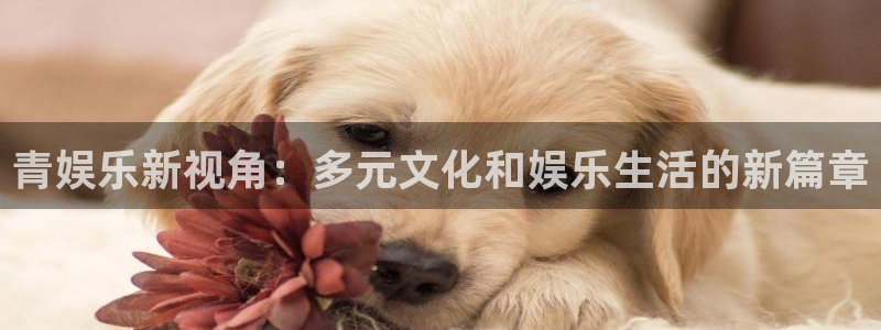 福建开心彩机电股份公司