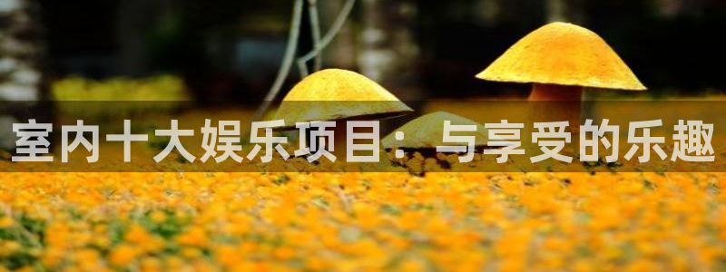 开心彩平台注册入口：室内十大娱乐项目：与享受的乐趣