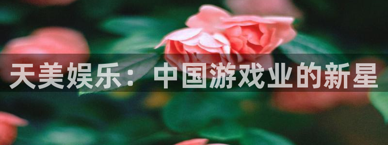开心彩4